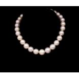 South sea graduated pearl necklace