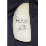 Early whales tooth scrimshaw