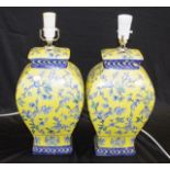 Pair of Chinese porcelain electric table lamps