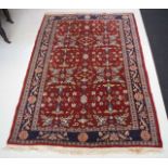 Middle Eastern wool rug