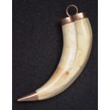 Large tiger tooth pendant