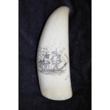 Early whales tooth scrimshaw