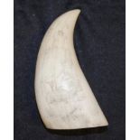 Early whales tooth scrimshaw