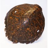 Vintage tortoise shell