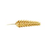 Yellow gold "ear of wheat" figural brooch