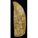Early whale's tooth engraved scrimshaw