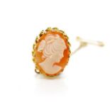 Carved cameo and 10ct yellow gold brooch