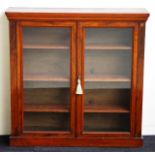 Antique two door bookcase