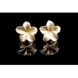 14ct yellow gold flower stud earrings