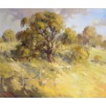 Douglas Sealy (b1937) 'Gum Tree', Wattle Flat'