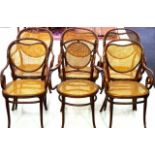 Six Thornet bentwood chairs