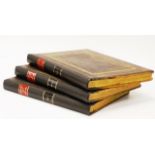 Three volumes 'Picturesque Atlas of Australasia'