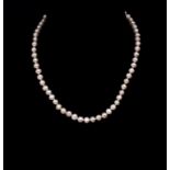 Cultured white 7-8mm pearl necklace