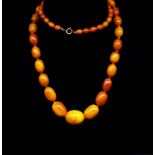 Early 20th C. graduated amber beaded necklace