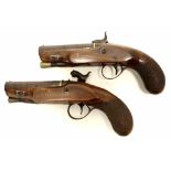 Two antique Percussion lock pocket pistols c.1825