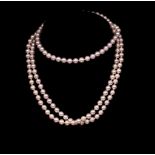 A good Akoya pearl opera length necklace