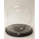 Vintage glass dome on fitted wood base