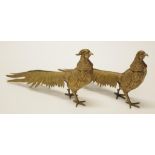 Pair brass Pheasant figures
