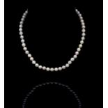 Akoya pearl princess length necklace