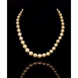 Golden South sea pearl necklace