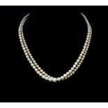 Two strands of Akoya pearl choker length necklaces