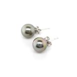 Tahitian pearl and 14ct white gold stud earrings