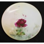 Antique Royal Worcester hand painted plate