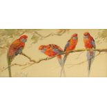 Artist unknown, 4 parrots