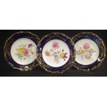 Three handpainted Coalport display plates