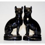 Pair of Staffordshire black & gilt cats