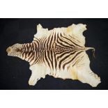Vintage African Burchell zebra skin rug