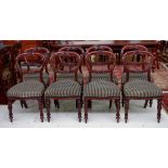 Eight antique mahogany balloon back chairs