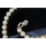 Akoya pearl necklace and diamond set 14ct white