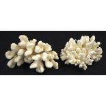 Two Cauliflower coral specimens