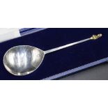 Elizabeth II sterling silver 'Maidenhead' spoon
