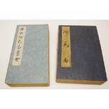 Two various Chinese expanding books of scenes