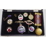 Collection various medals & lapel badges