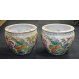 Two Chinese ceramic fish bowls