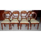 Eight balloon back chairs