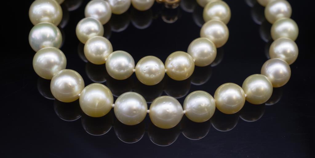 Golden South Sea pearl necklace - Image 2 of 3