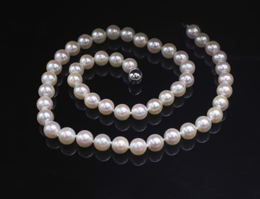 8mm Akoya pearl princess length necklace - Image 2 of 3