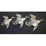 Three graduated Beswick Teal duck wall plaques