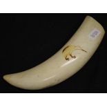 Early sperm whale tooth scrimshaw