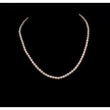 Mikimoto pearl necklace