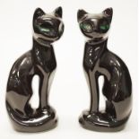Pair Chinese ceramic Black Cats