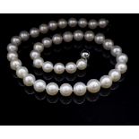 South Sea pearl necklace