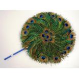 Peacock feather fan