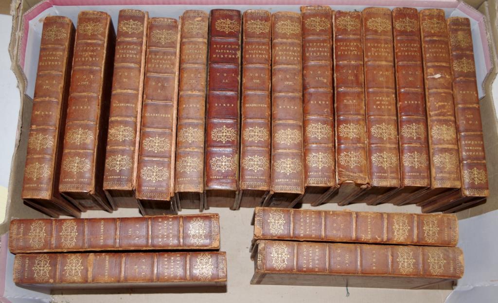 Georgian part set volumes 'Natural History'