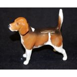 Beswick Beagle "Wendover Billy" dog figurine