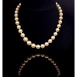 Golden South Sea pearl necklace